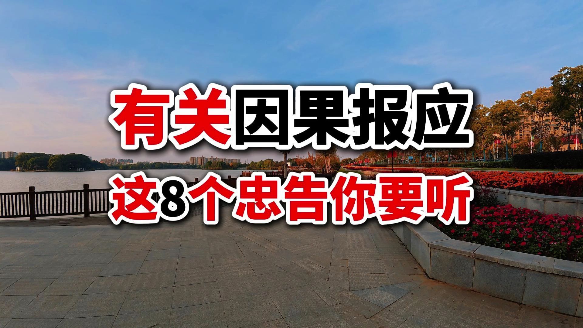 散文朗读:关于因果的8个忠告,不论你信不信,都无法改变哔哩哔哩bilibili