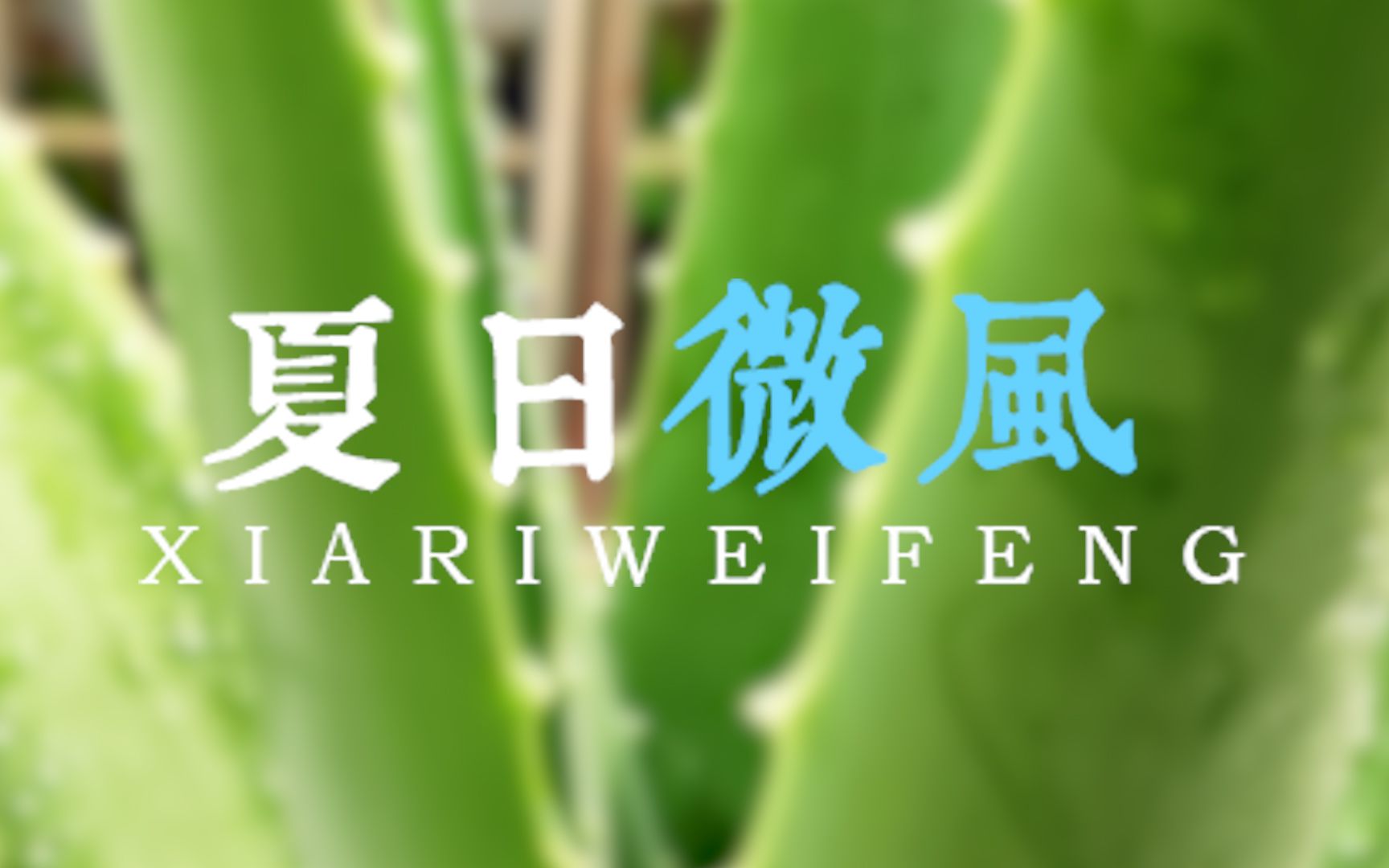 [图]歌词排版分享|夏日微风|想和你吹着夏天的风看天空 出现了一道彩虹