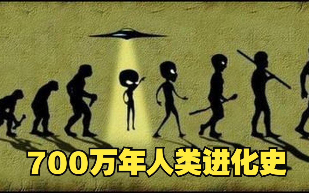 3分钟看完700万年人类进化史,20多种史前人类,只有我们存活下来!哔哩哔哩bilibili