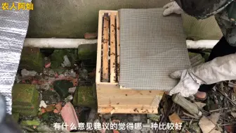 Video herunterladen: 格子箱和活框箱养蜜蜂，如果是你养蜂的话这两箱选择哪一箱呢？