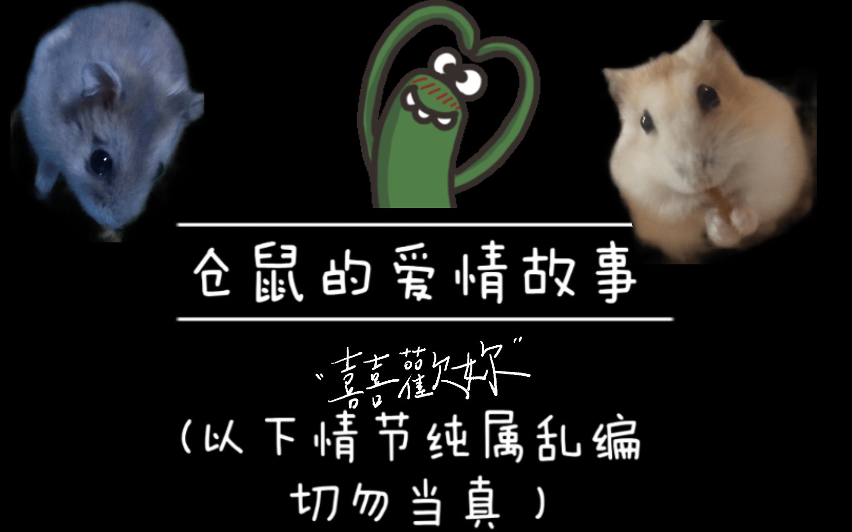 仓鼠的爱情故事嘿嘿嘿关于我有一天闲着无聊写的一个狗血小剧本
