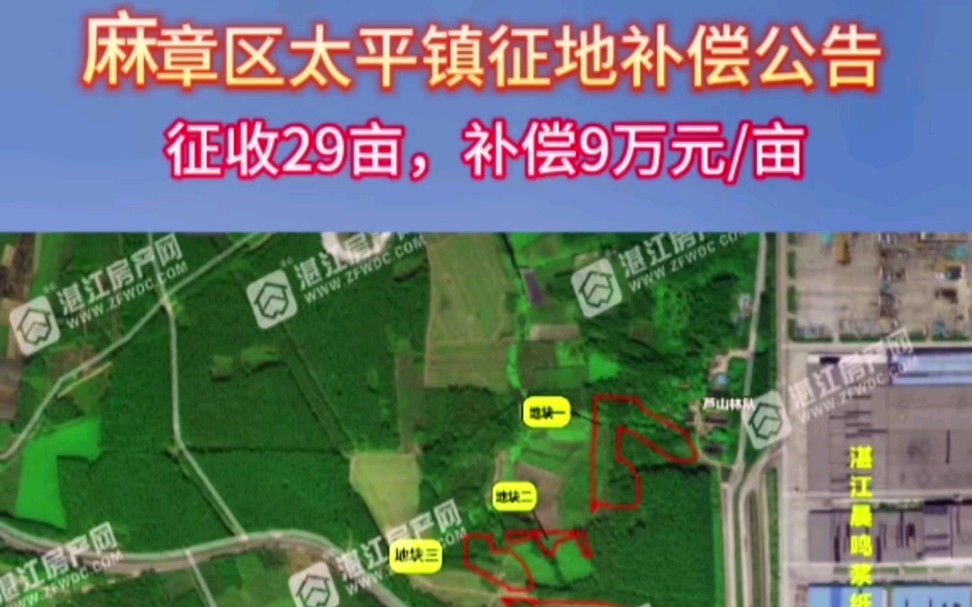 麻章区太平镇征地补偿公告:征收29亩,补偿9万元/亩#征收补偿#土地征收#征收#房地产#湛江房产网哔哩哔哩bilibili