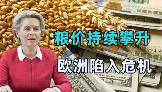 欧洲深陷粮食危机，求助普京无果，又喊话中国：释放储备粮救欧洲