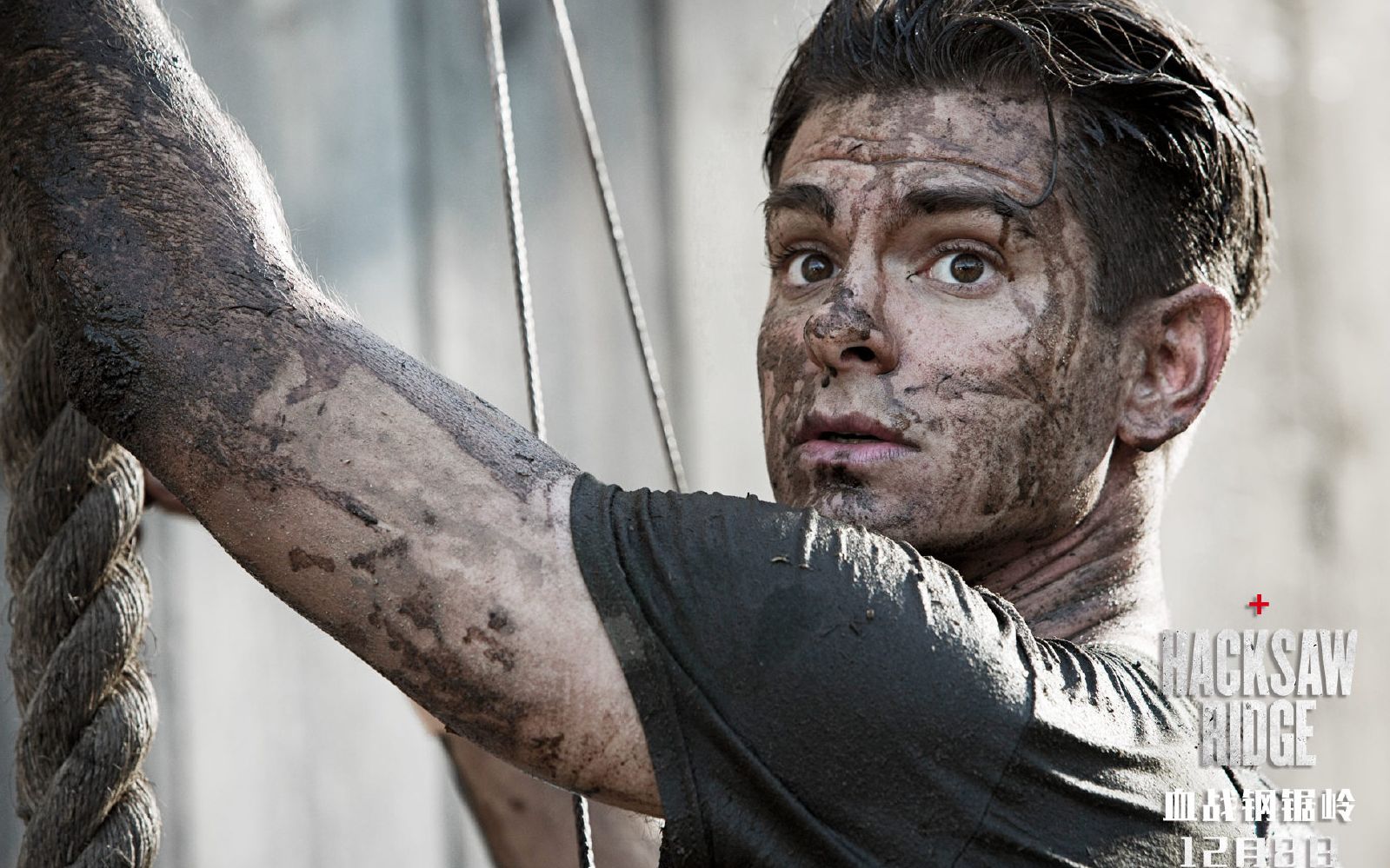 【血战钢锯岭加菲】my desmond