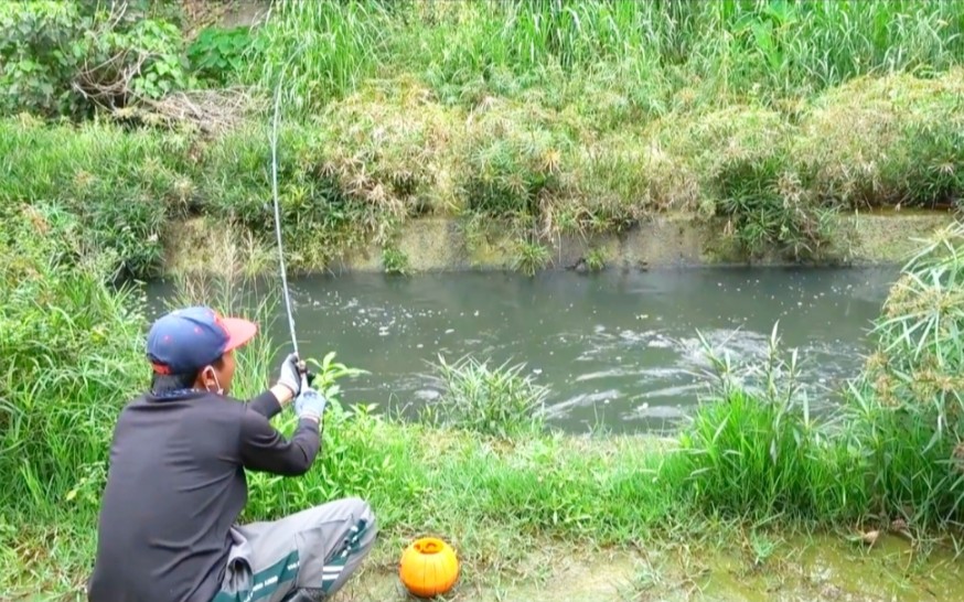 马来西亚农村小水沟钓鱼,一抛饵料,马上就有鱼来咬饵