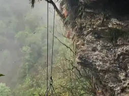 Video herunterladen: 采集于险峻之巅，悬崖蜜的珍贵不言而喻