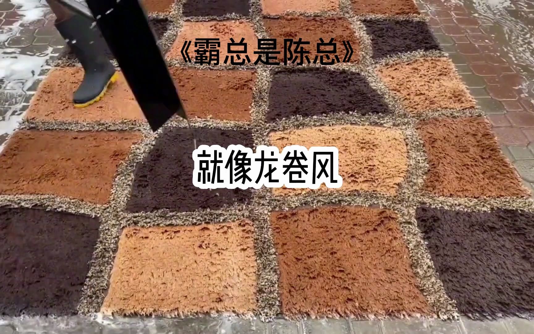 《霸总是陈总》 宝藏小说 每日推文 小说推荐哔哩哔哩bilibili