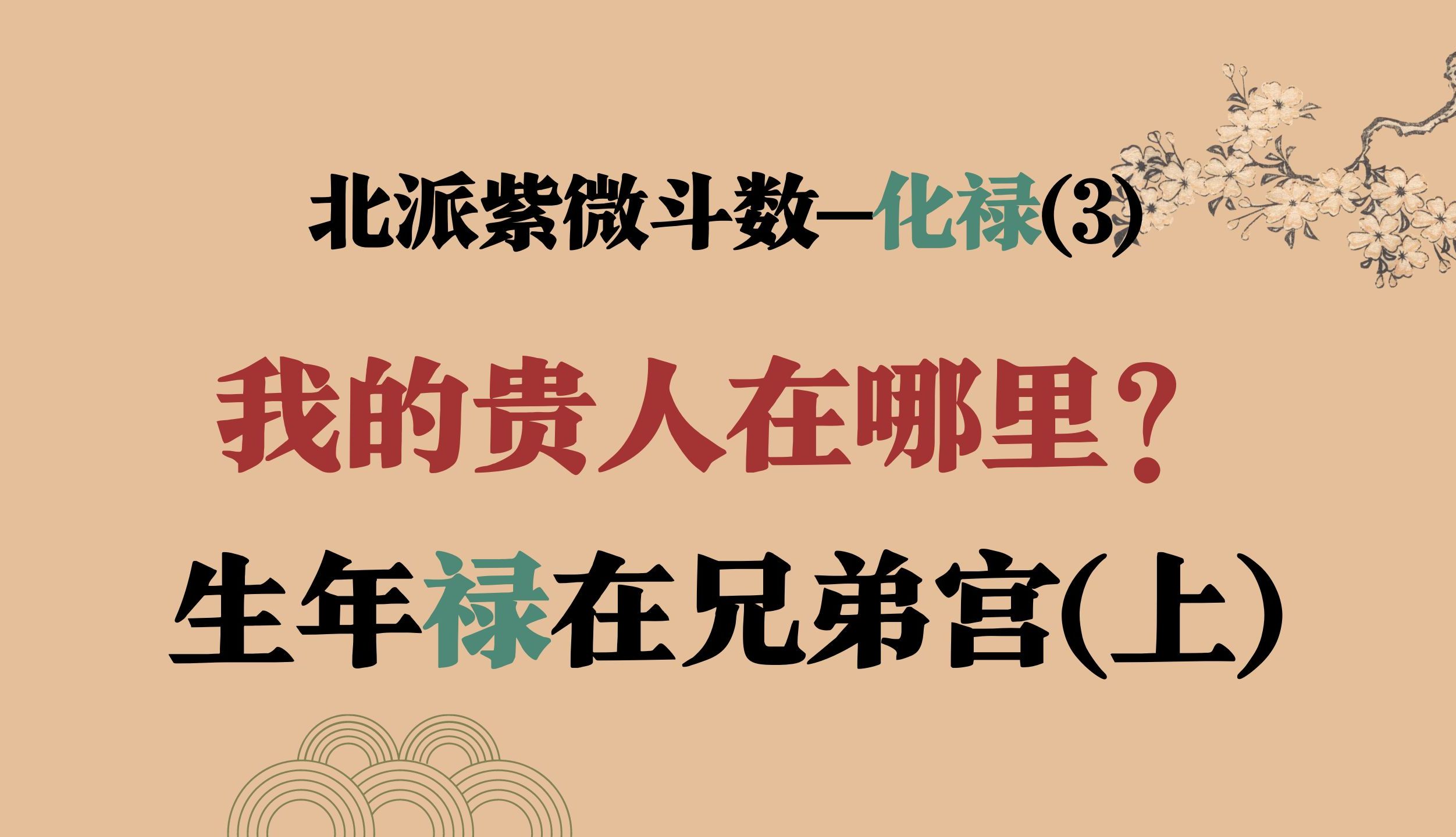 生年禄在兄弟宫深度解析,北派十二因缘法,紫微斗数哔哩哔哩bilibili