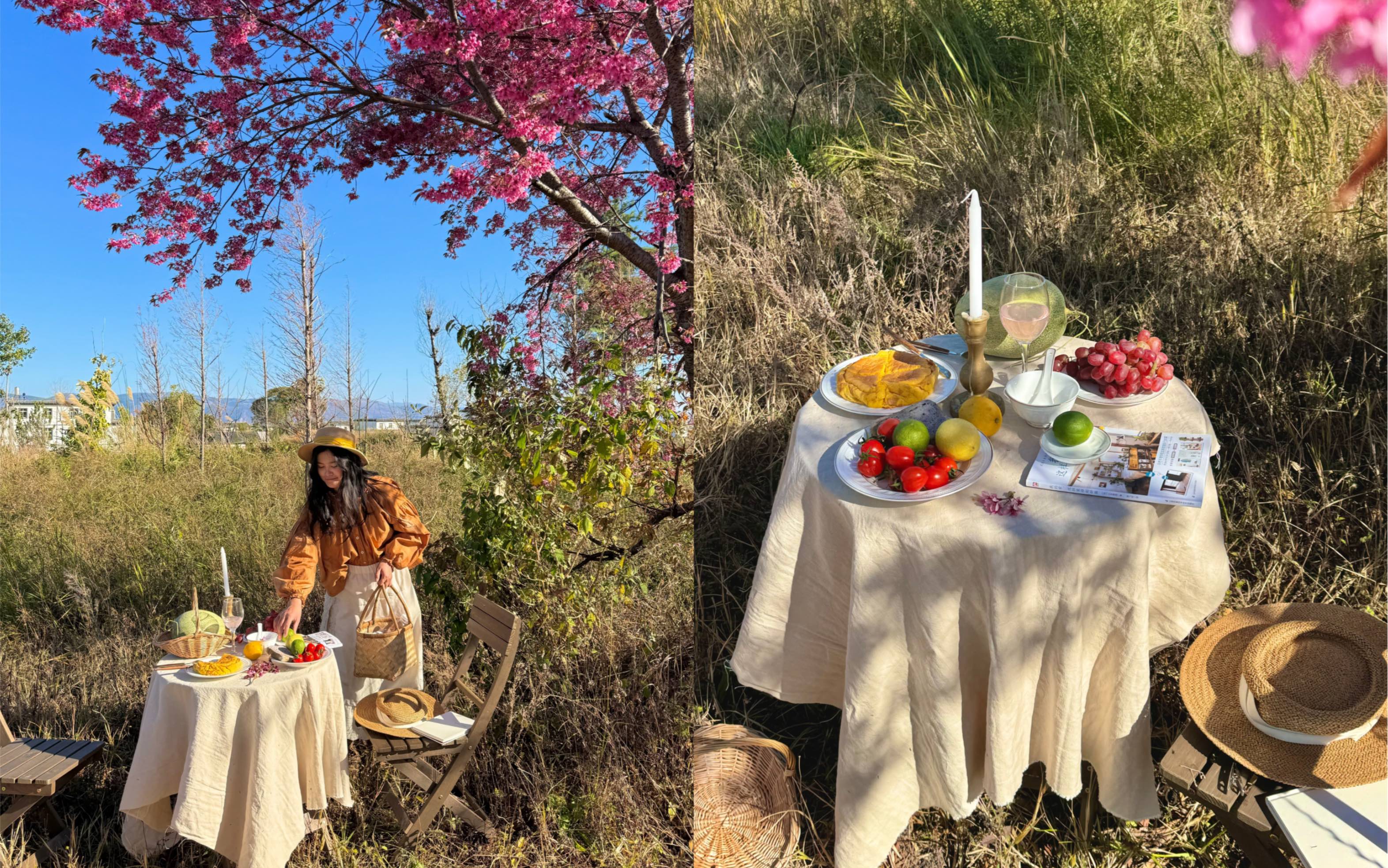 大理定居生活|樱花树下的野餐
