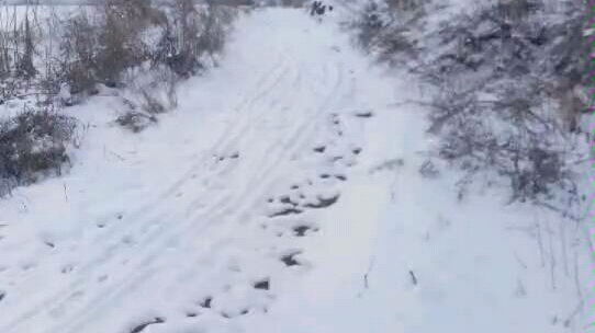 [图]又到一年落雪时