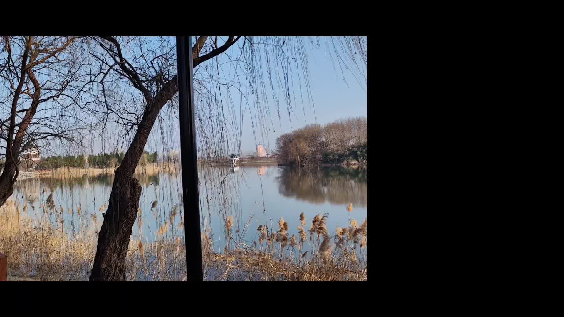 霍邱水门塘灵异图片