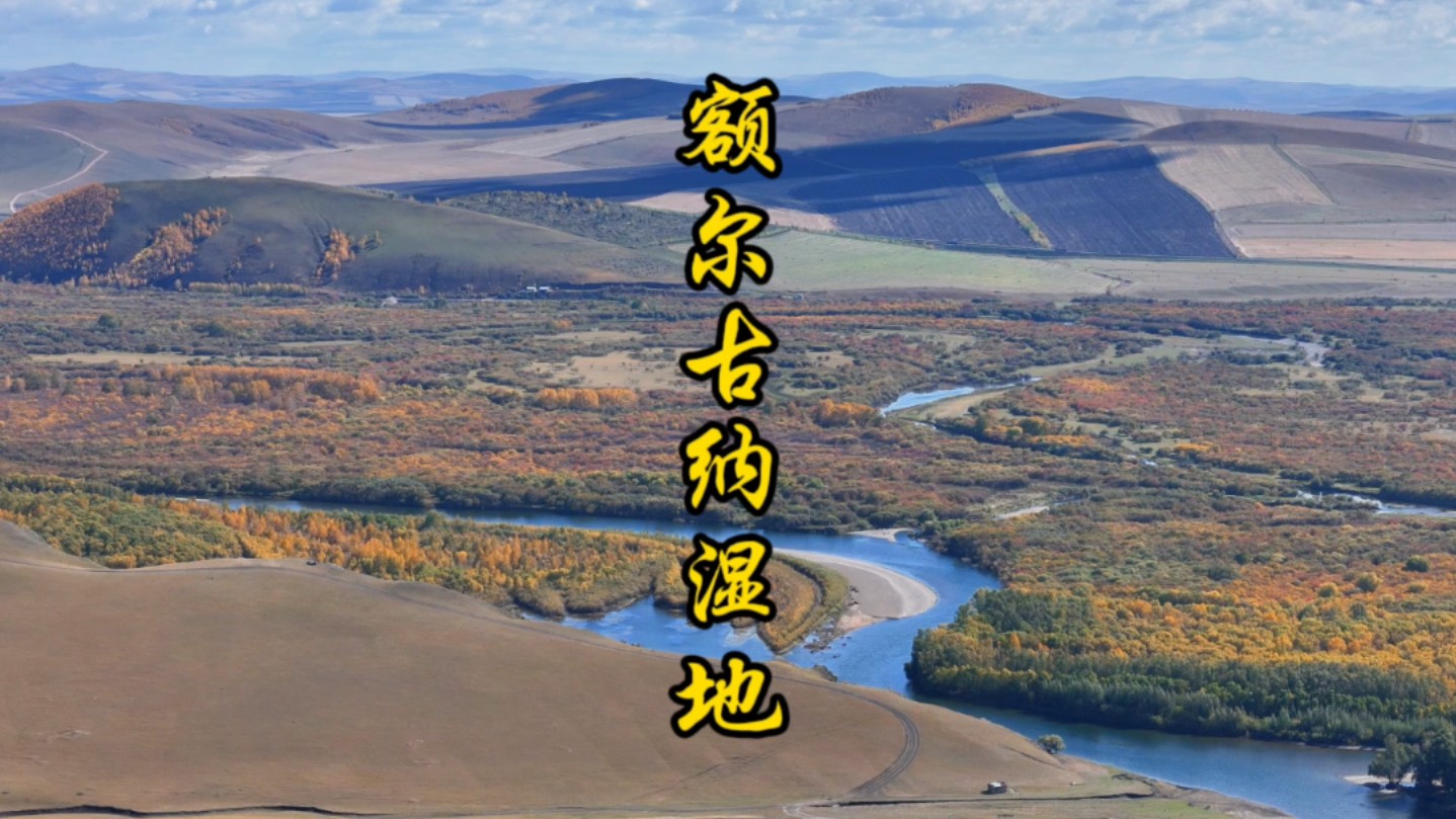 在额尔古纳河右岸 孕育着亚洲最大的湿地 额尔古纳湿地哔哩哔哩bilibili