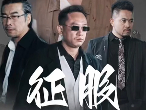 热门短剧 《林风 征服 1–102集》高清全集