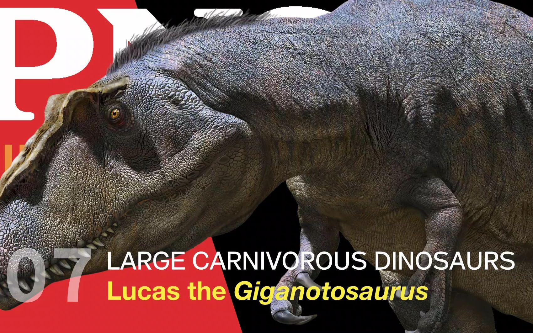 pnso恐龙博物馆南方大陆的统治者南方巨兽龙