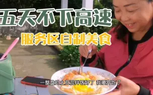 下载视频: 【56岁阿姨】自驾游五天不下高速，服务区露营自制美食攻略