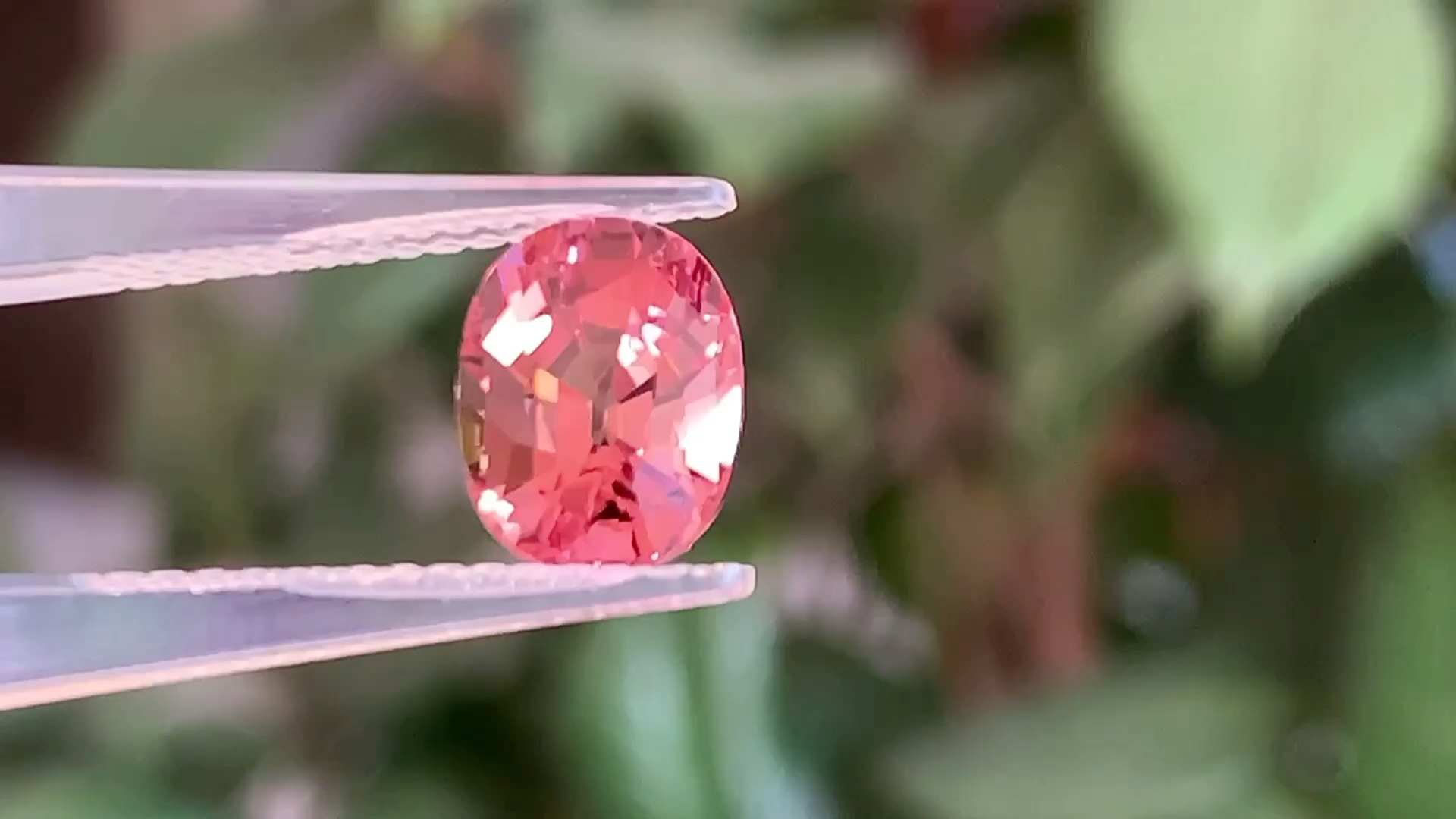 3.37克拉 天然阿富汗粉碧玺 超正点的粉色 颜色很甜很仙