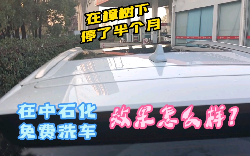 [图]樟树下停车半个月，中石化加油免费洗车，效果怎么样？