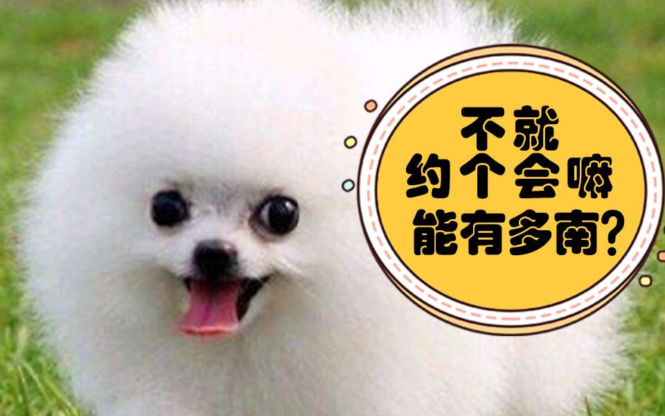 活动作品人活不如狗系列之三