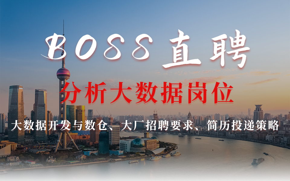 BOSS直聘分析大数据岗位哔哩哔哩bilibili