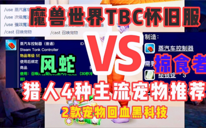 魔兽世界TBC怀旧服:猎人4种主流宠物介绍以及两款黑科技推荐哔哩哔哩bilibili