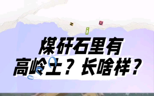 煤矸石里有高岭土吗?长啥样?哔哩哔哩bilibili