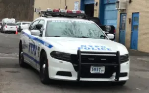 Скачать видео: 【NYPD】纽约警察局高速巡警道奇战马警车（5957 20）