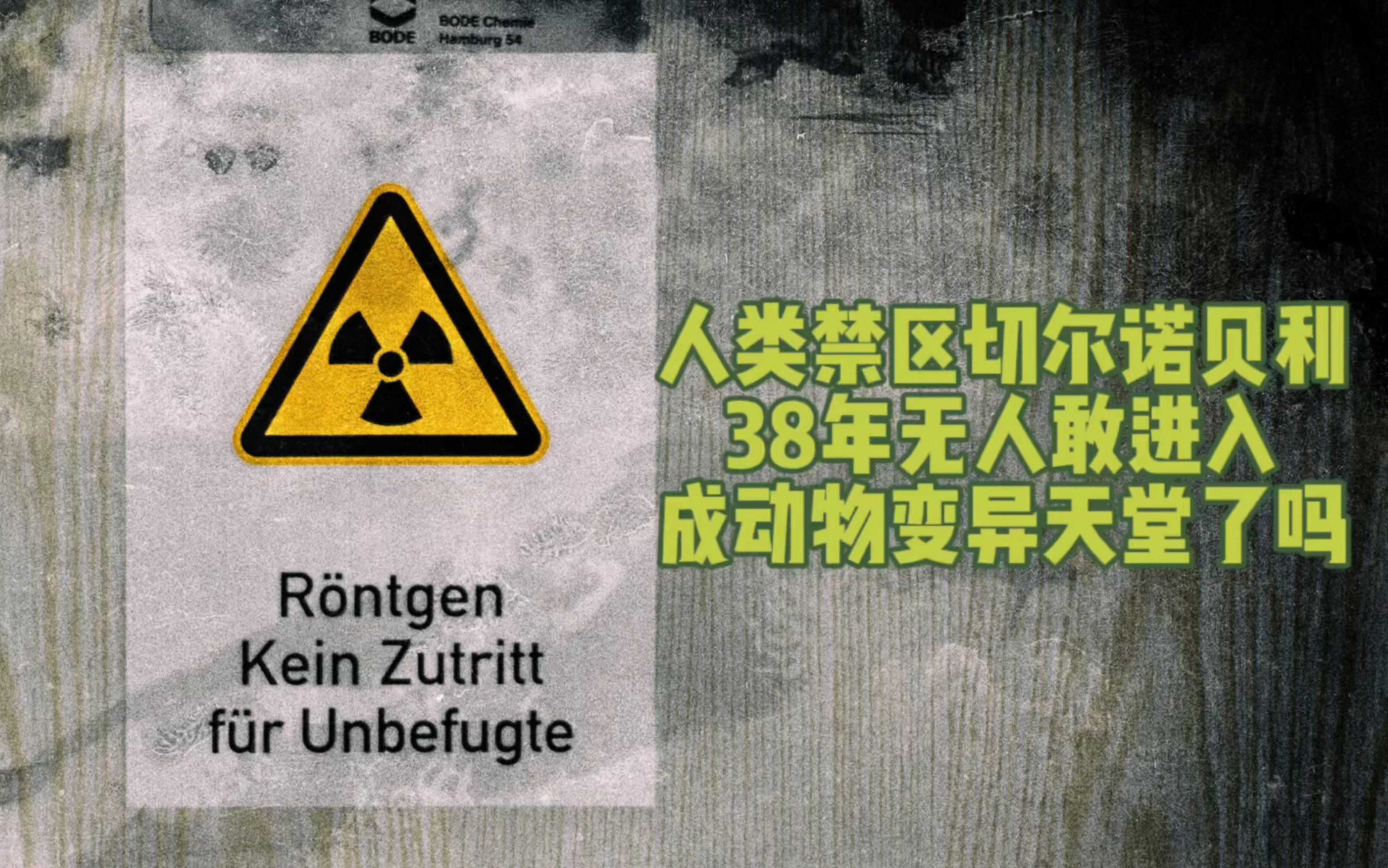 [图]人类禁区切尔诺贝利，已成动物天堂