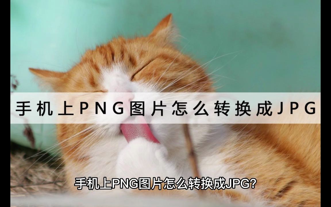 手机上PNG图片怎么转换成JPG?这个方法不要错过哔哩哔哩bilibili