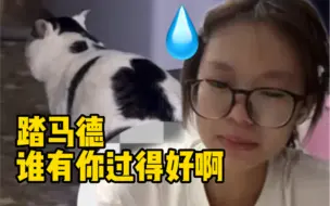 Download Video: 当代大学生vs小猫 的一天