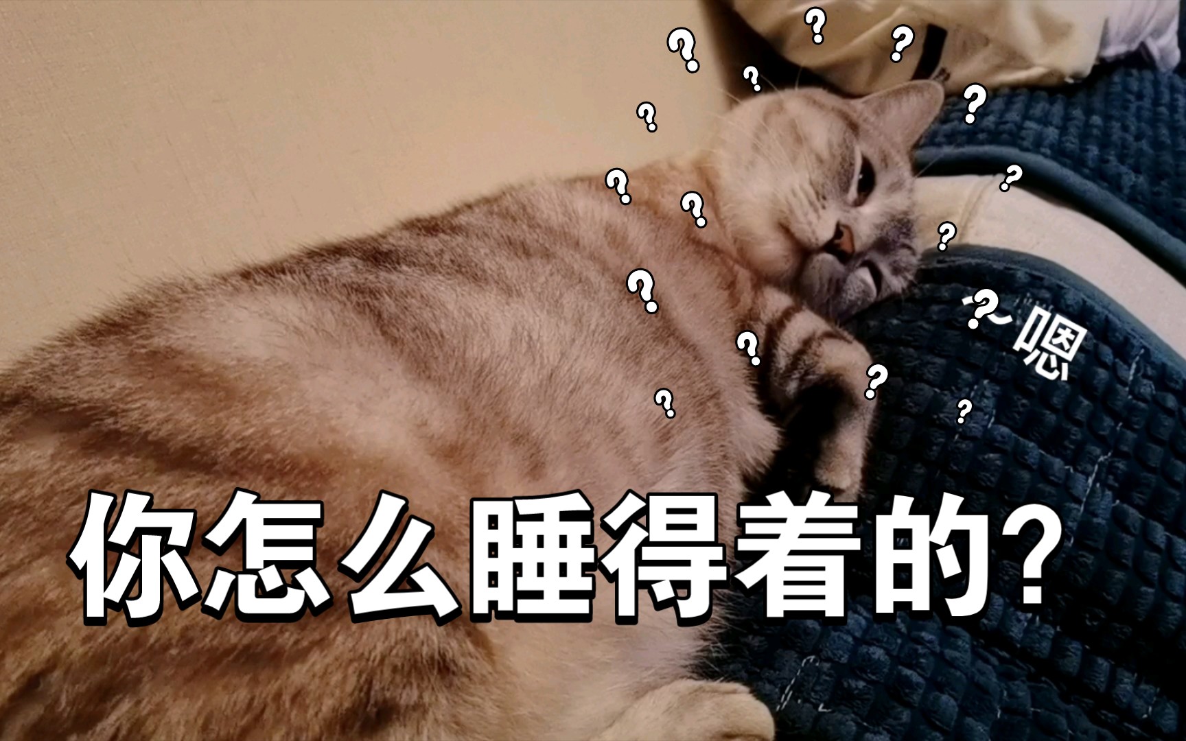 你怎么睡得着的?