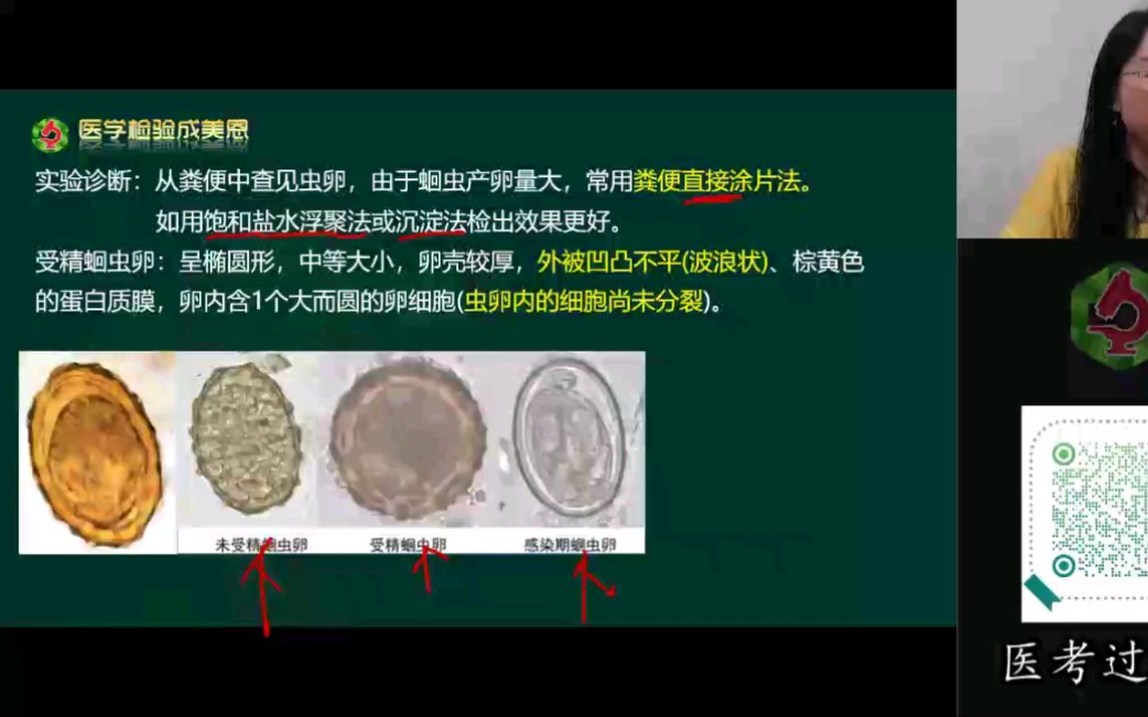 [图]【职称考试】医学检验成美恩-寄生虫学检验：基础知识精讲班