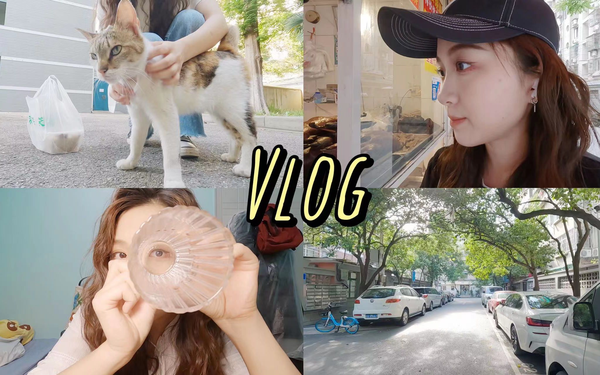 VLOG25. 很喜欢小动物,顿顿都得有. |SEU读研周记哔哩哔哩bilibili