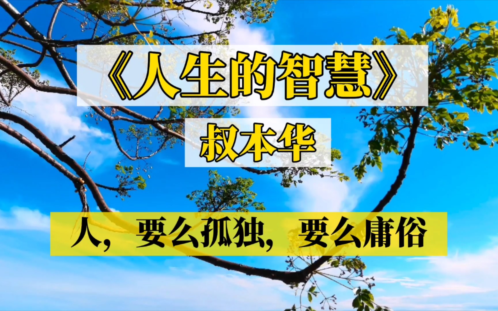 【书摘】叔本华《人生的智慧》:人要么孤独,要么庸俗哔哩哔哩bilibili