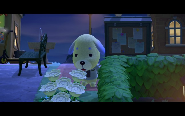 动物森友会丨格陵兰垃圾岛island tour