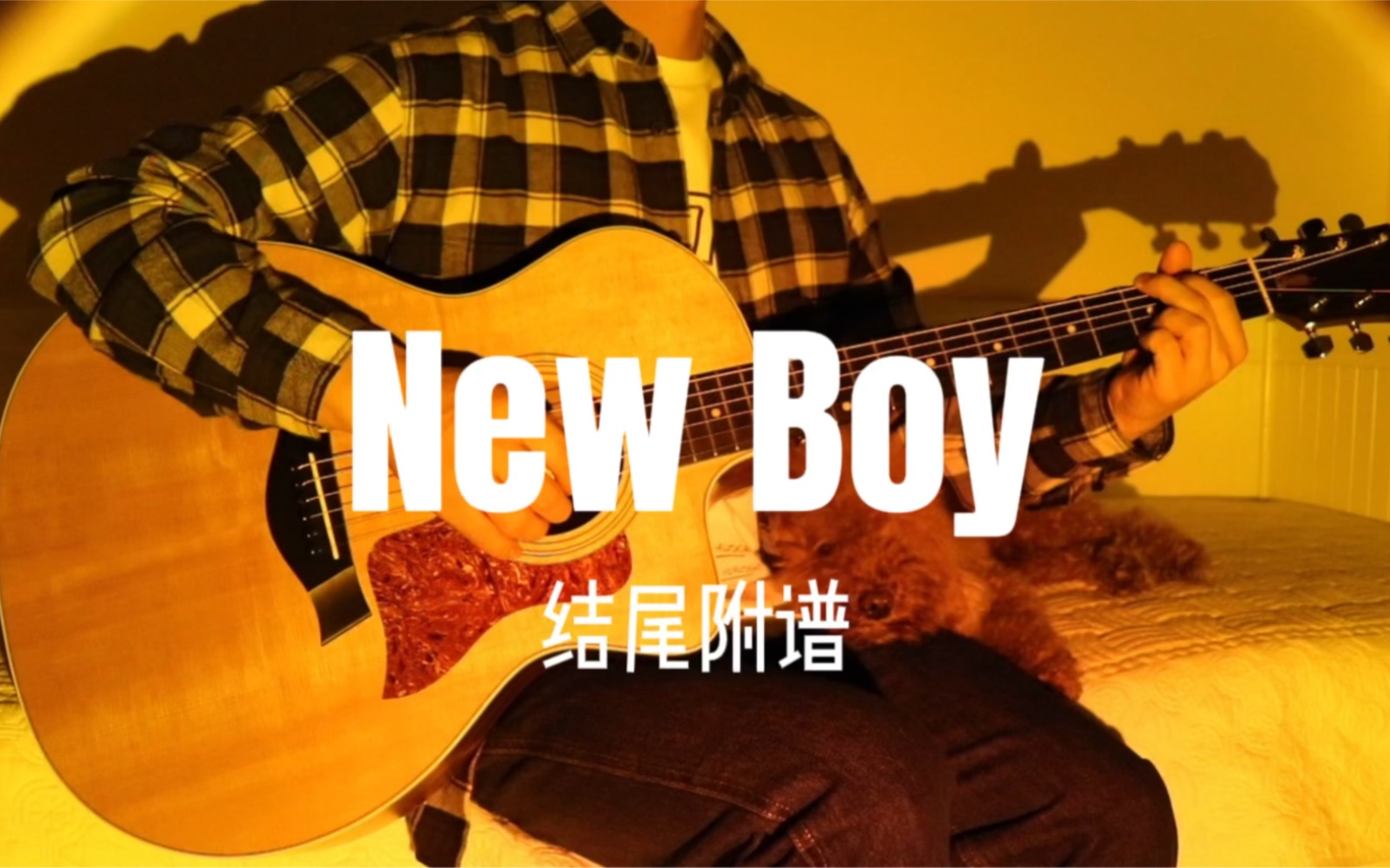 朴树《New Boy》吉他弹唱附吉他谱哔哩哔哩bilibili