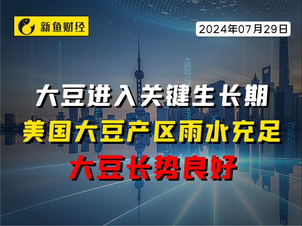 大豆进入关键生长期,美国大豆产区雨水充足、大豆长势良好哔哩哔哩bilibili