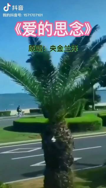 、央金兰泽原唱(爱的思念)哔哩哔哩bilibili