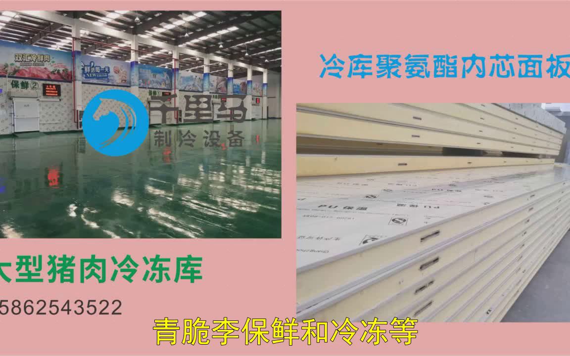 【大连】红布林5方小型冷库的价格医药冷库建造厂咨询承建哔哩哔哩bilibili