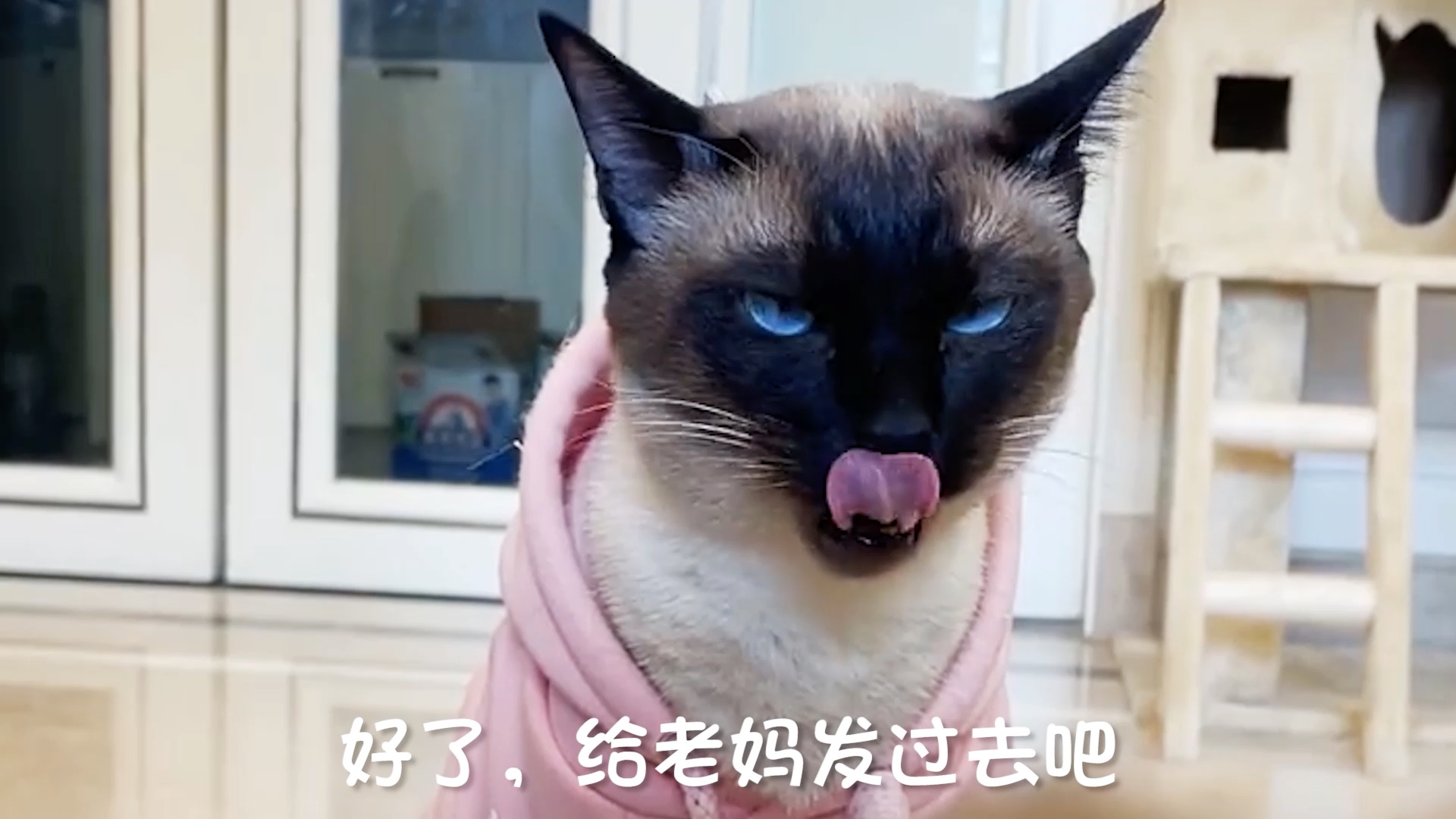 [图]不怕狡猾的老妈！就怕你这样的猪队友！