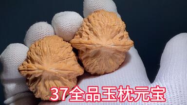 38全品玉枕元宝，编号N-045，山地老树红皮果，皮质好，易红易透