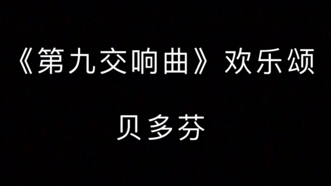 [图]小提琴—第九交响曲《欢乐颂》贝多芬