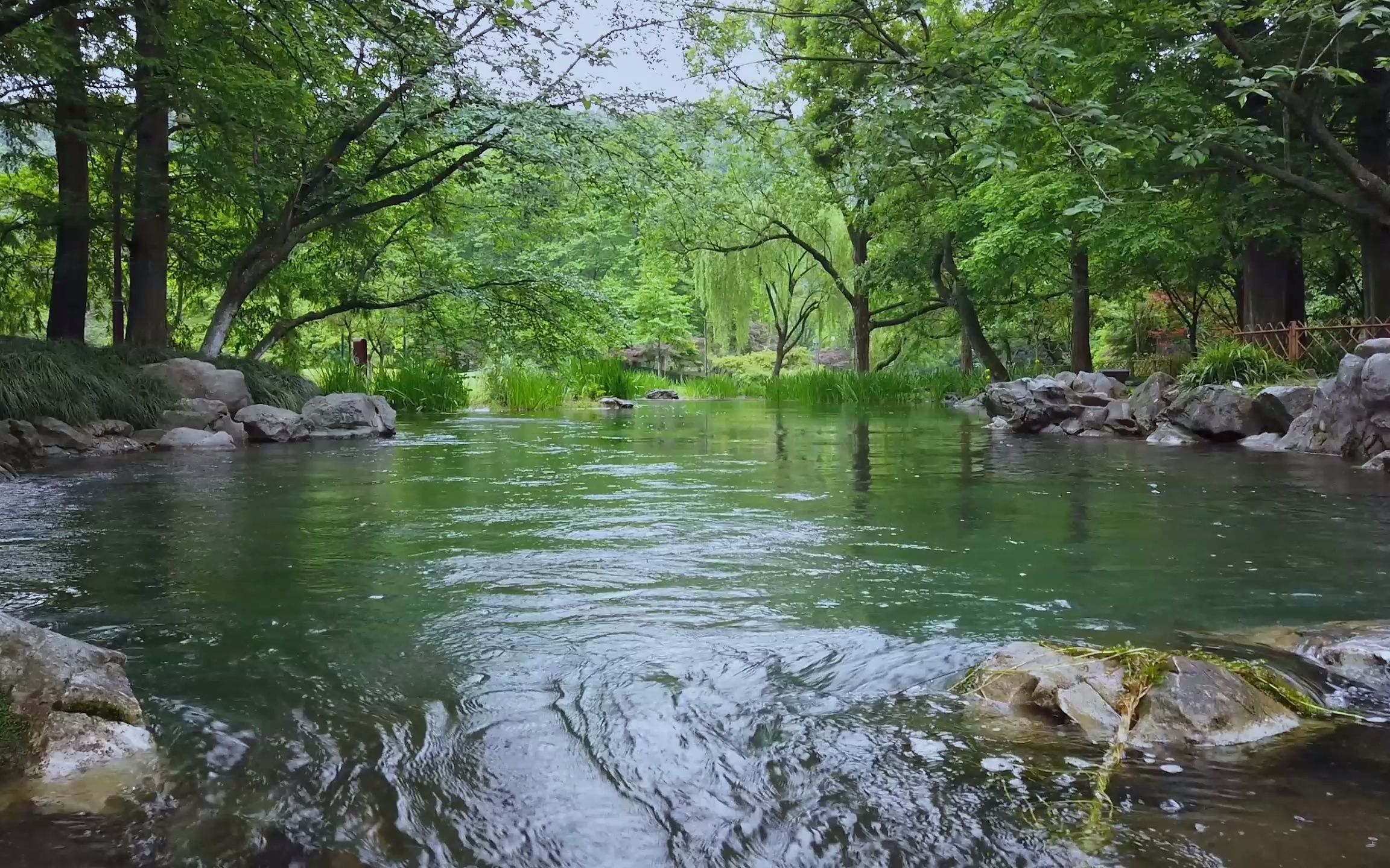 [图]【白噪音】杭州太子湾溪流声 I 听完感觉脑子都进水了