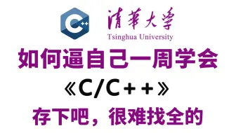 【整整600集】全B站最易学最用心的C语言C++零基础教程，2025最新版，带你7天搞定C语言全栈，0基础小白看这套C语言/C++教程就够了，存下吧！
