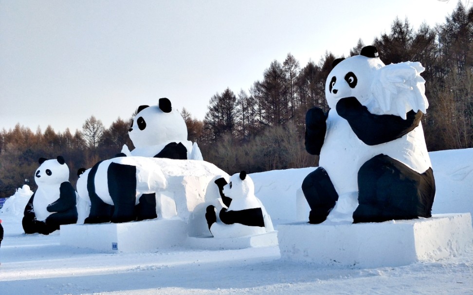 突然想看雪,带大家看看雪雕