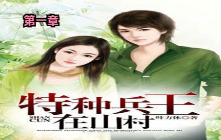 特种兵王回乡村做村长,跟大美女村支书发展的精彩故事!第01章哔哩哔哩bilibili