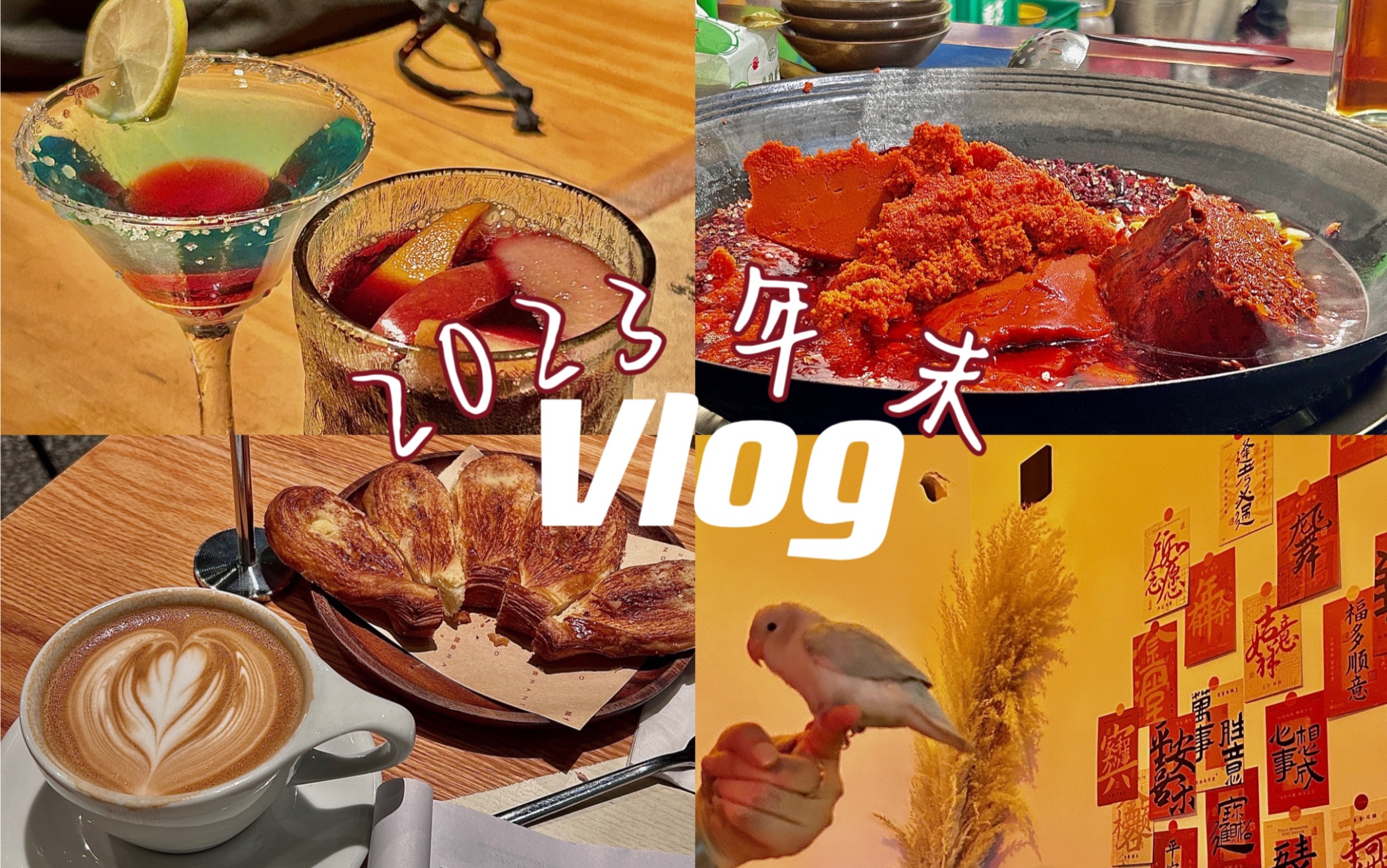 [图]Vlog-2023年末记录 / 没心没肺快乐加倍