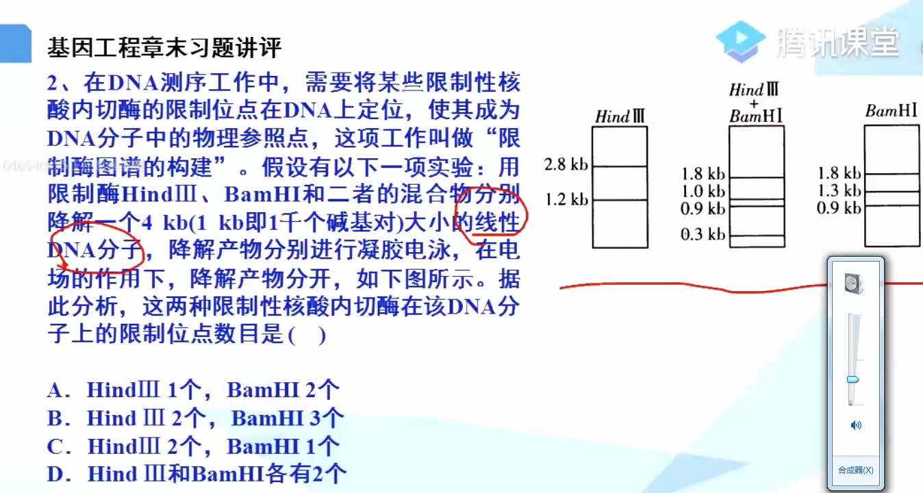 张俊华202032 174914哔哩哔哩bilibili