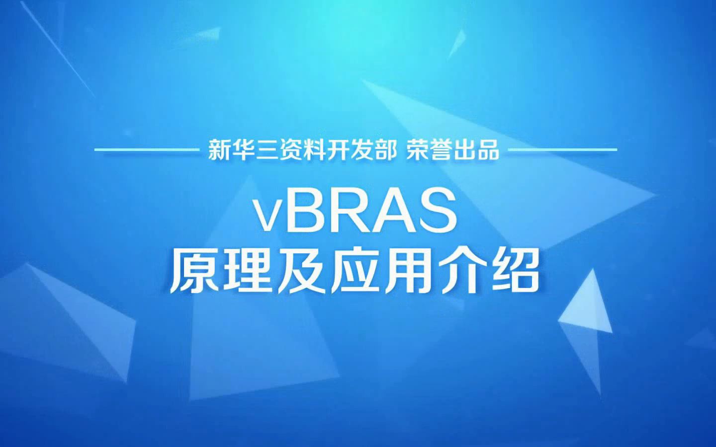 vBRAS原理及应用介绍哔哩哔哩bilibili