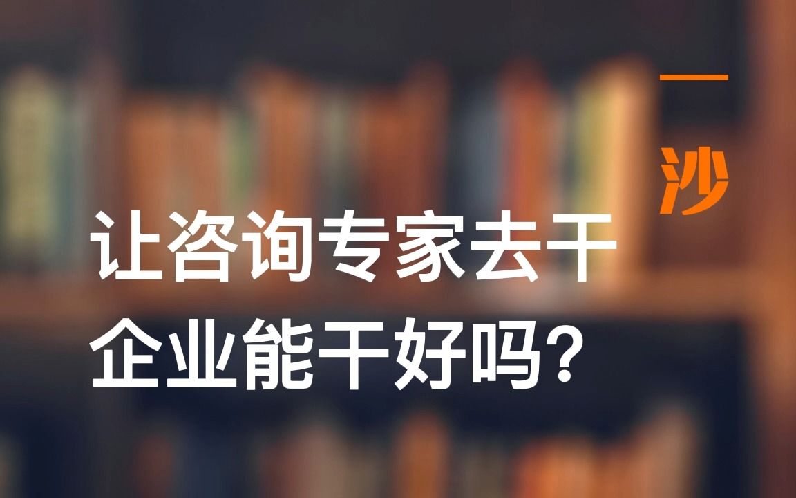 企业让咨询专家去干,能干好了吗?哔哩哔哩bilibili