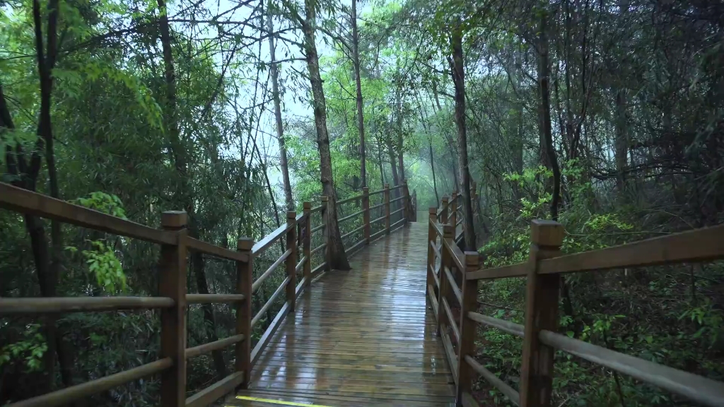 [图]『雨中漫步』雨中在峡谷里漫步